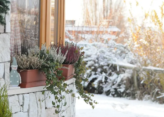 A&b Le Terrazze Del Sale' - アパート *